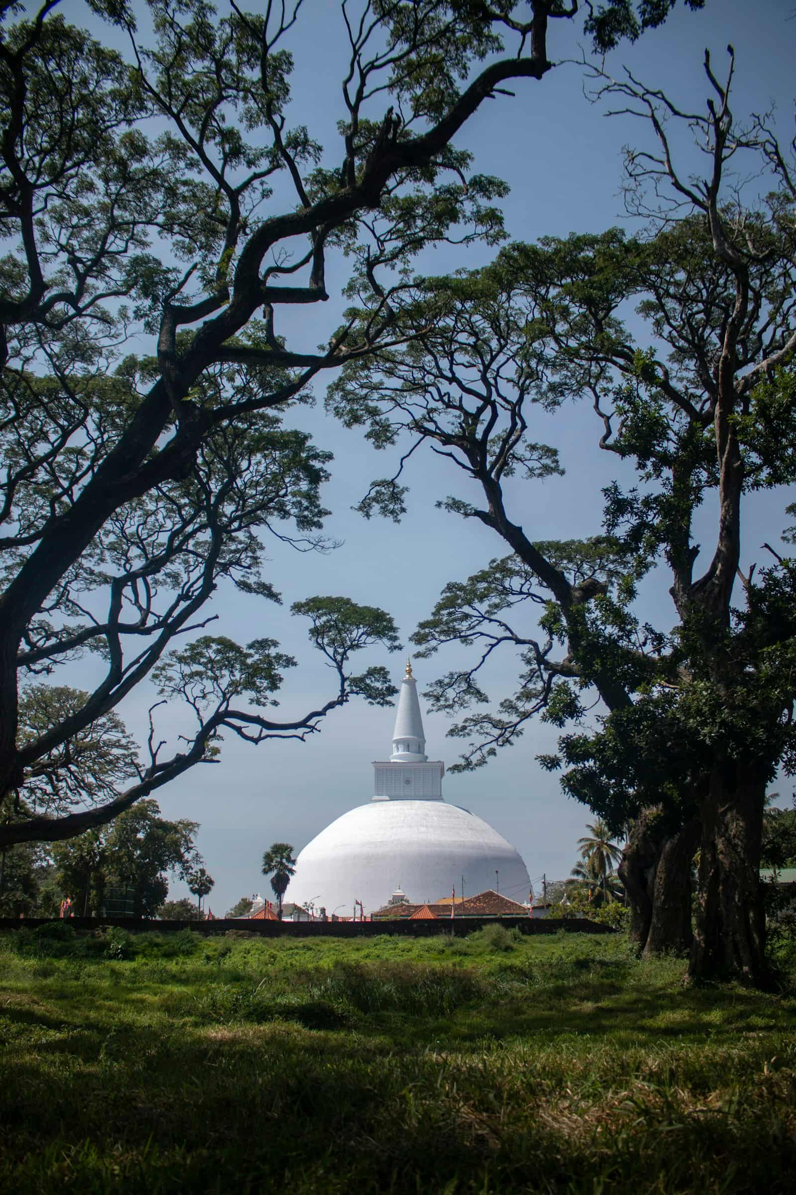 Singhe Travels destination photo 2