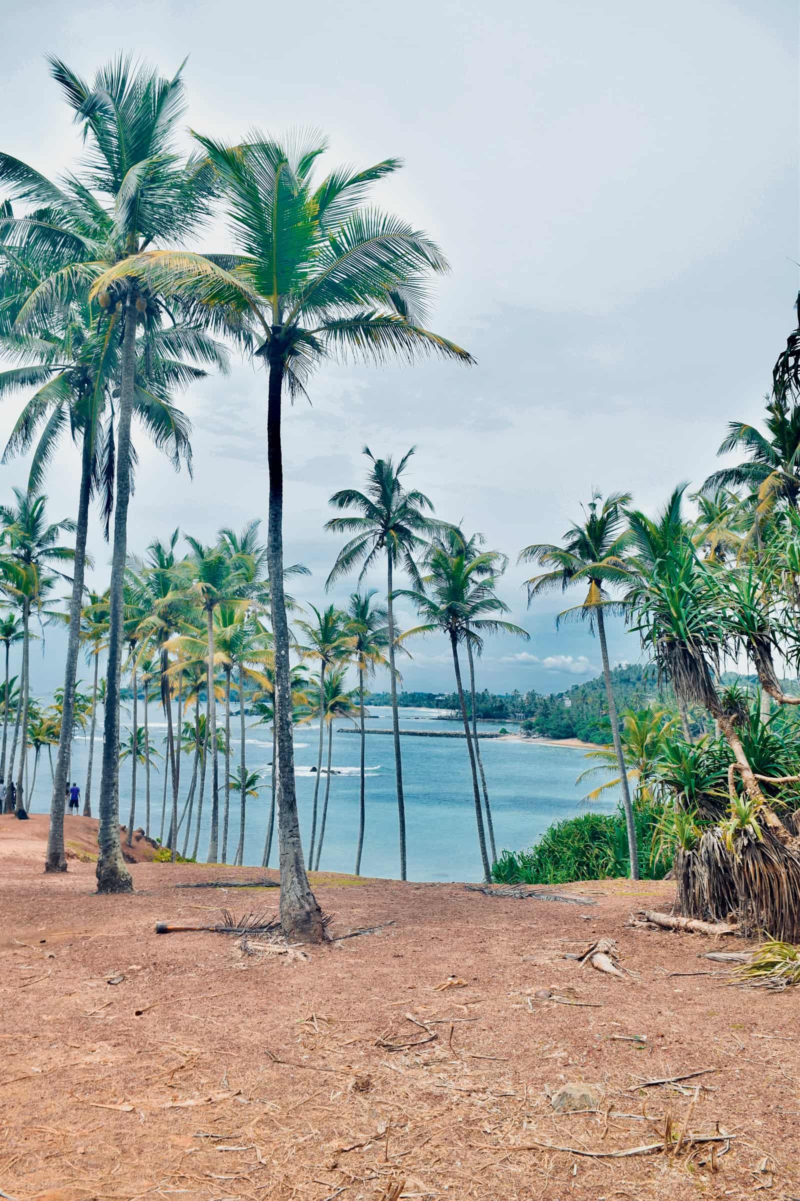 Singhe Travels destination photo 8
