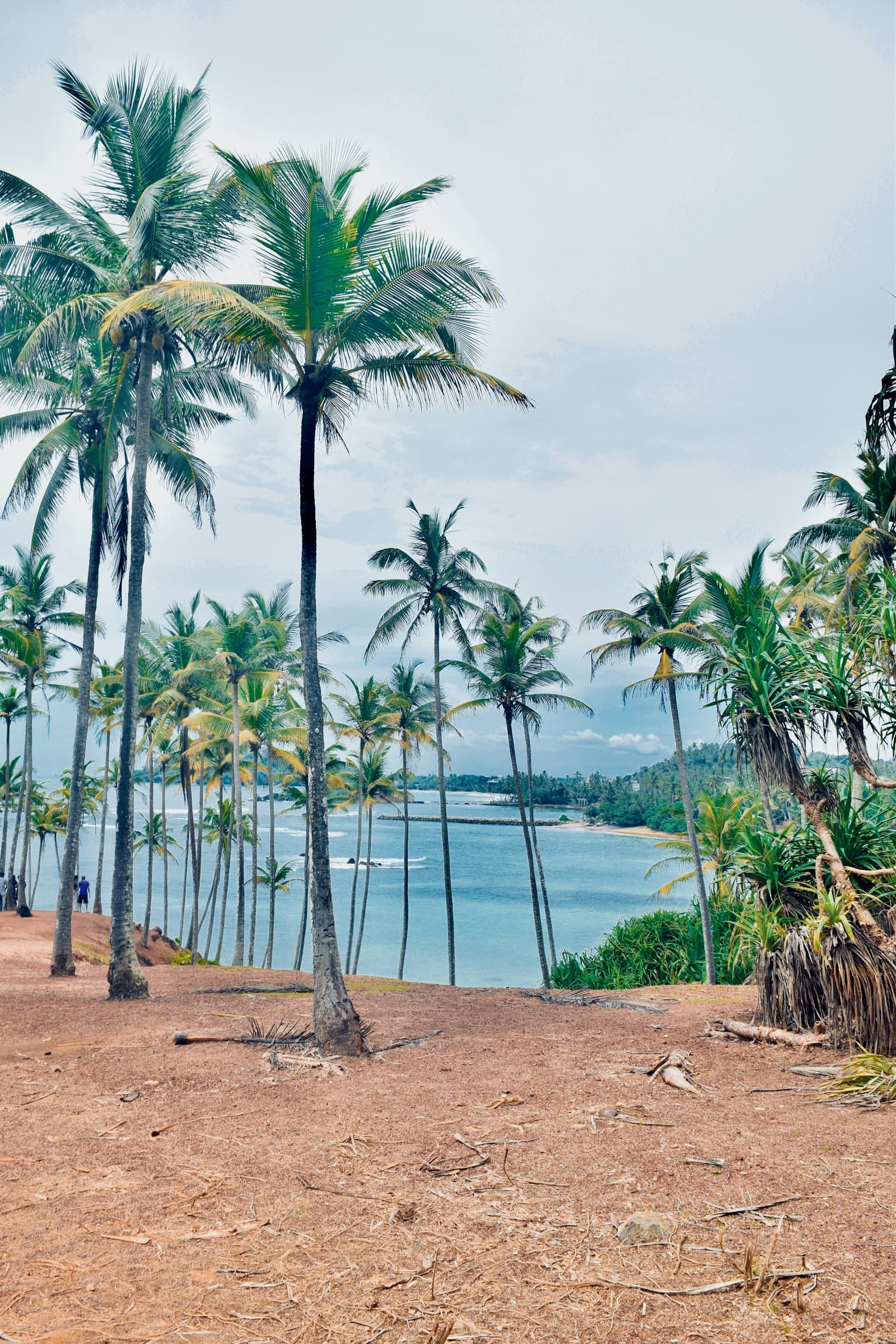 Southern Coast & Beaches